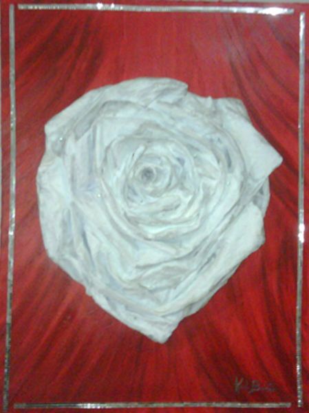 Rosa Branca Iluminada