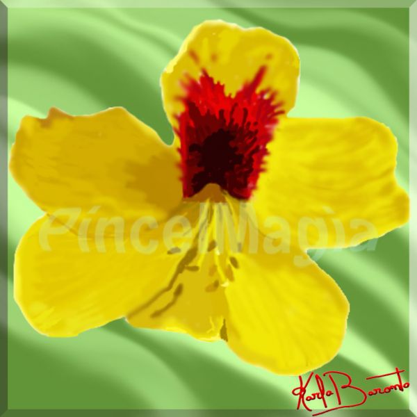 Flor Flor Brasil